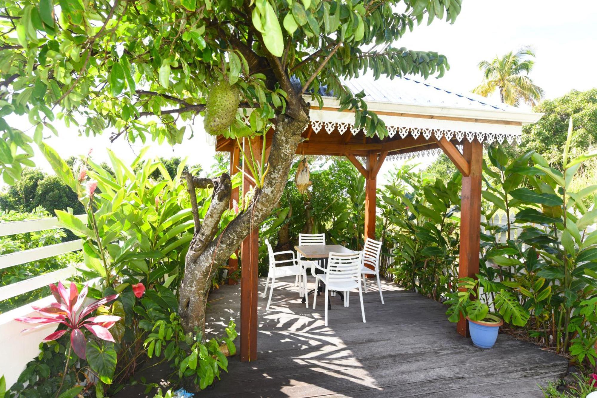 Belavue & Spa Prive, Avec Vue Panoramique Sur Mer, Jardin Creole Paysager, Jacuzzi Prive بويانت المظهر الخارجي الصورة