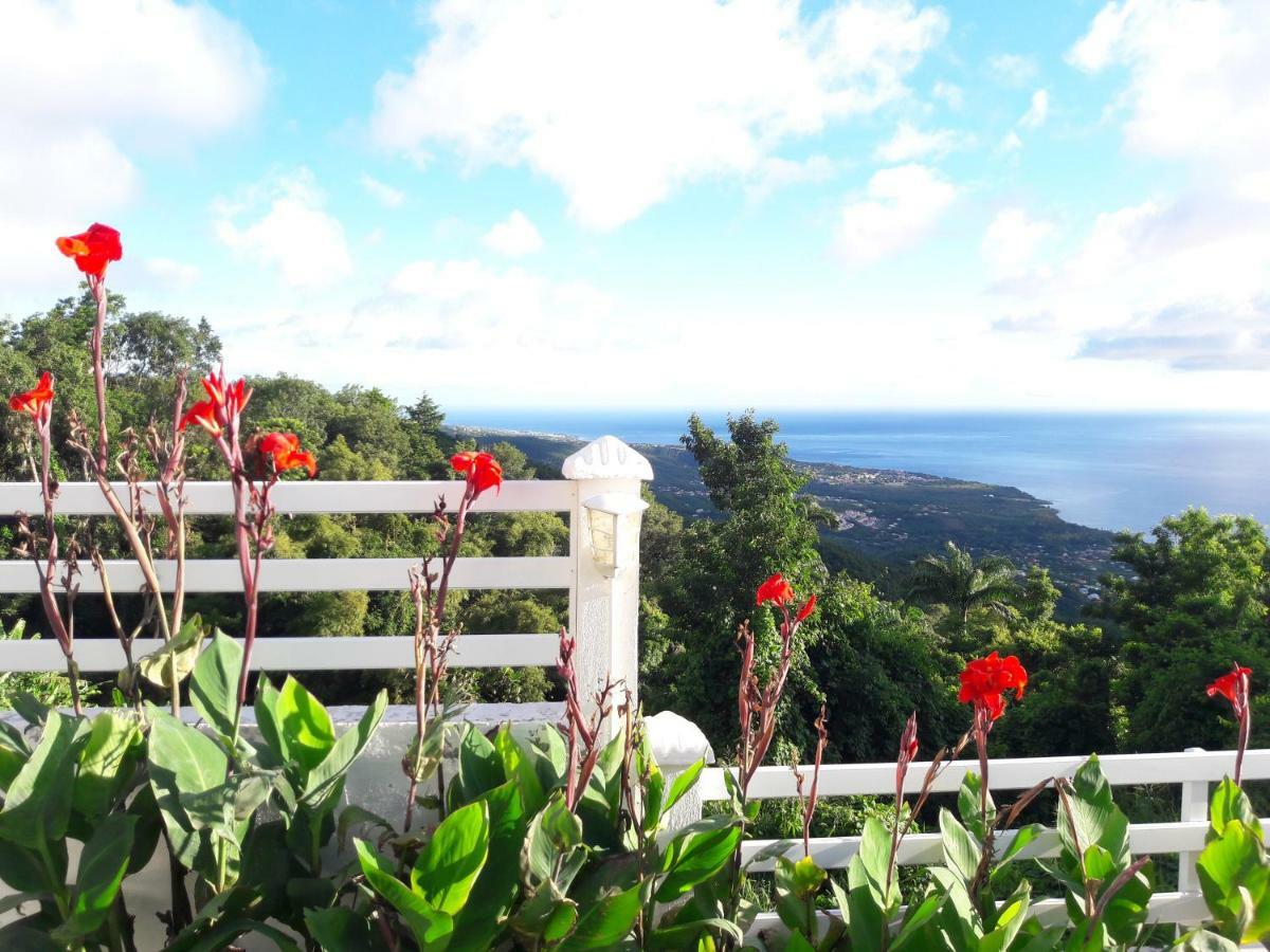 Belavue & Spa Prive, Avec Vue Panoramique Sur Mer, Jardin Creole Paysager, Jacuzzi Prive بويانت المظهر الخارجي الصورة